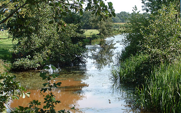riviertje de Swadde bij Buitenpost