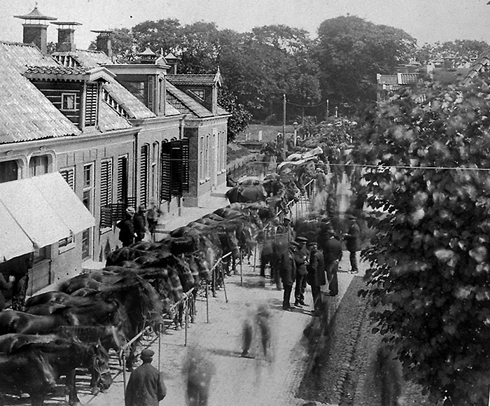 paardenmarkt 1911