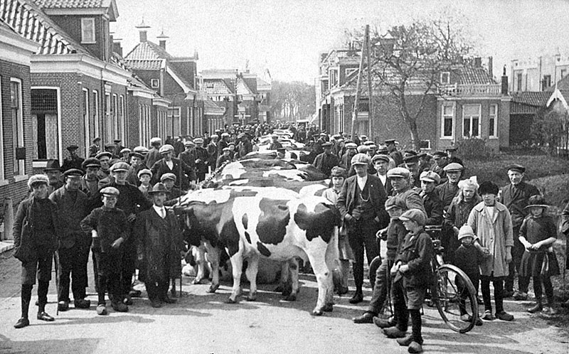 foto van de paardenmarkt in 1924 op de voorstraat