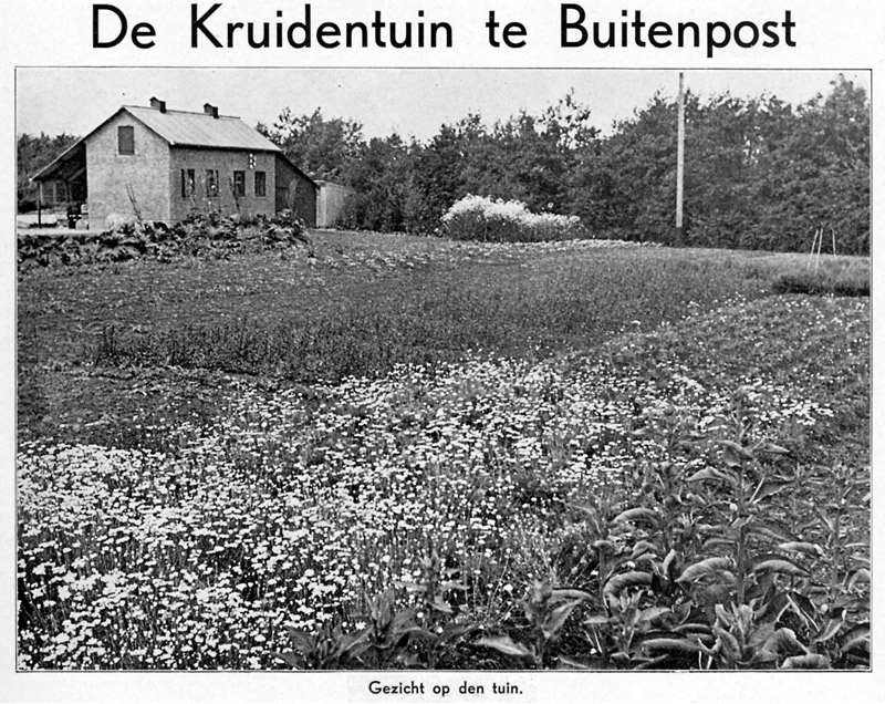 foto van de kruidhof in 1939